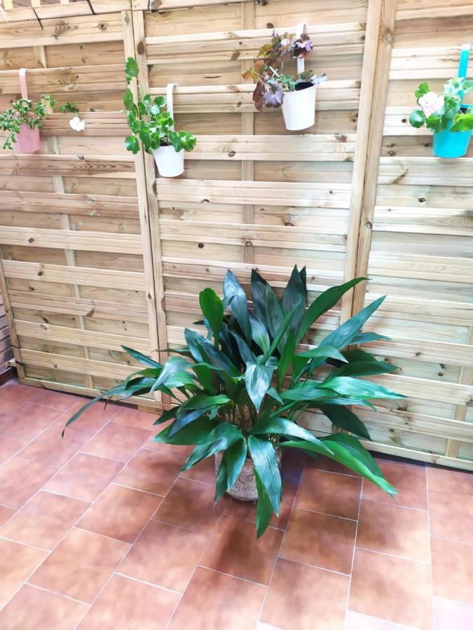 Apartamento Poniente Con Dos Banos Muy Centrico 6 Personas Логроньйо Екстер'єр фото